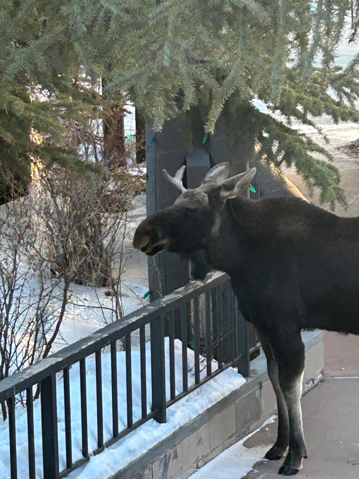 Antlers Gulch 501 By Summitcove Lodging Keystone Extérieur photo